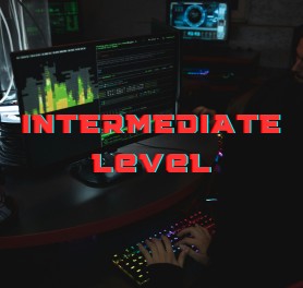 Cybersecurity Course for VET Intermediate